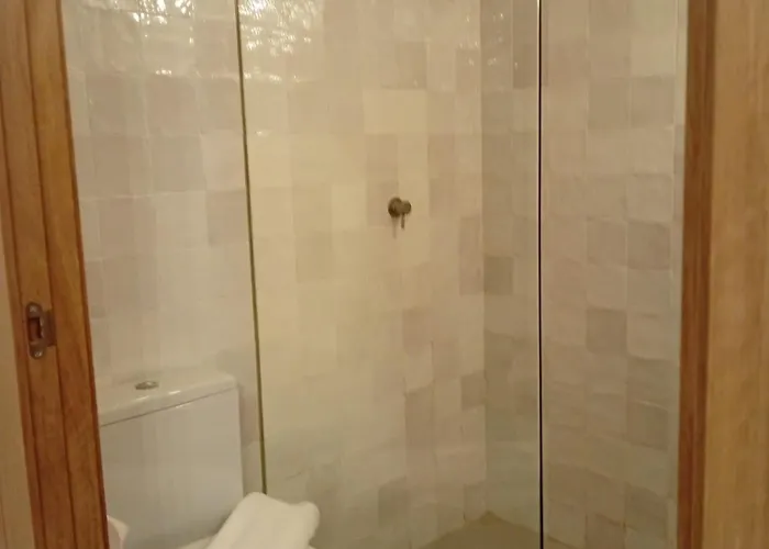 ánimas, Elegantes Pisos En El Centro Histórico